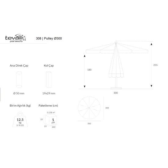 308 | Pulley Ø300