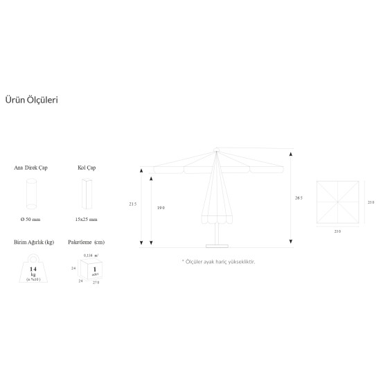 310 MANUEL - 250x250