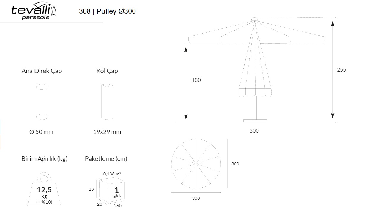 308 | Pulley Ø300