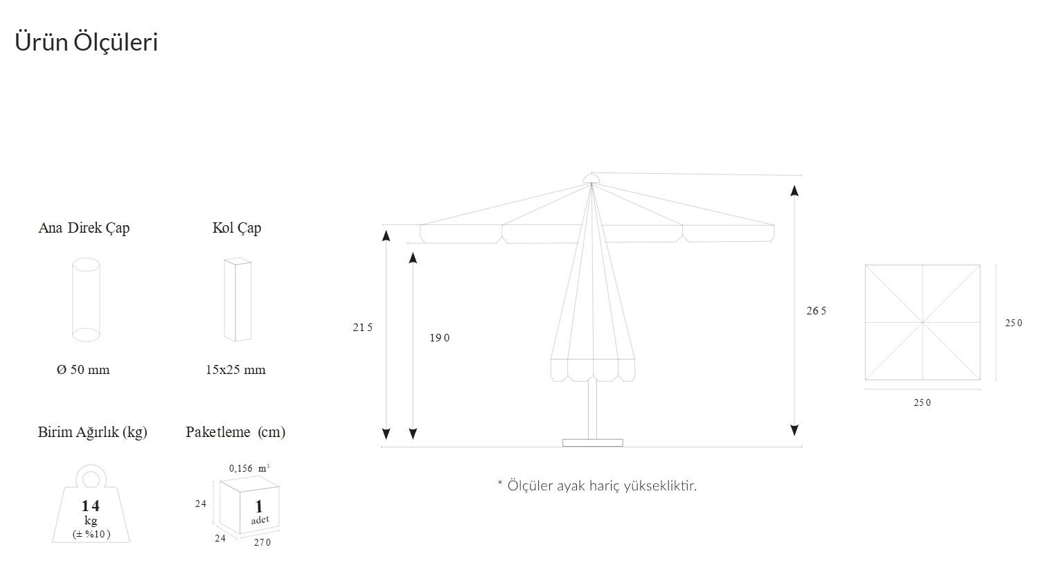 310 MANUEL - 250x250